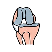 PCL Injury