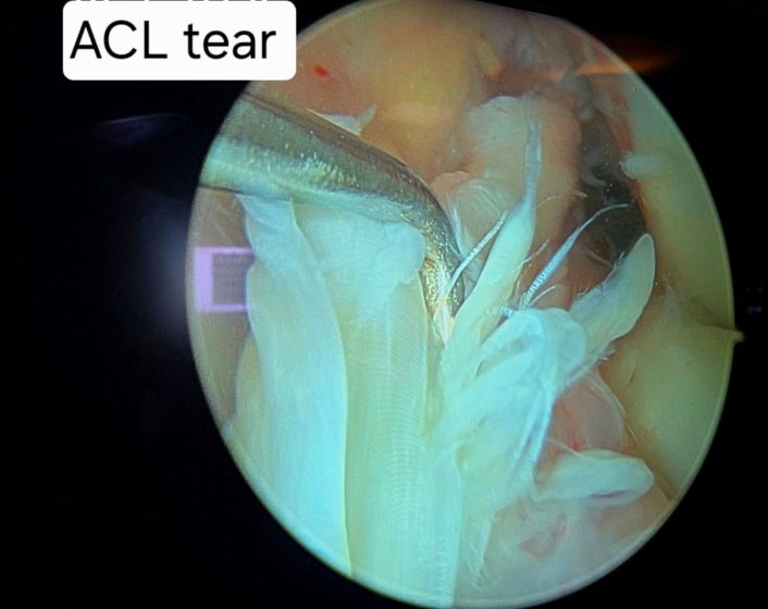 WhatsApp Image 2025-07-10 at 2.28.09 PM